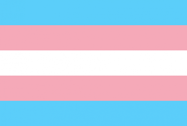 Astraea Statement on Recent Murders of Trans Women of Color