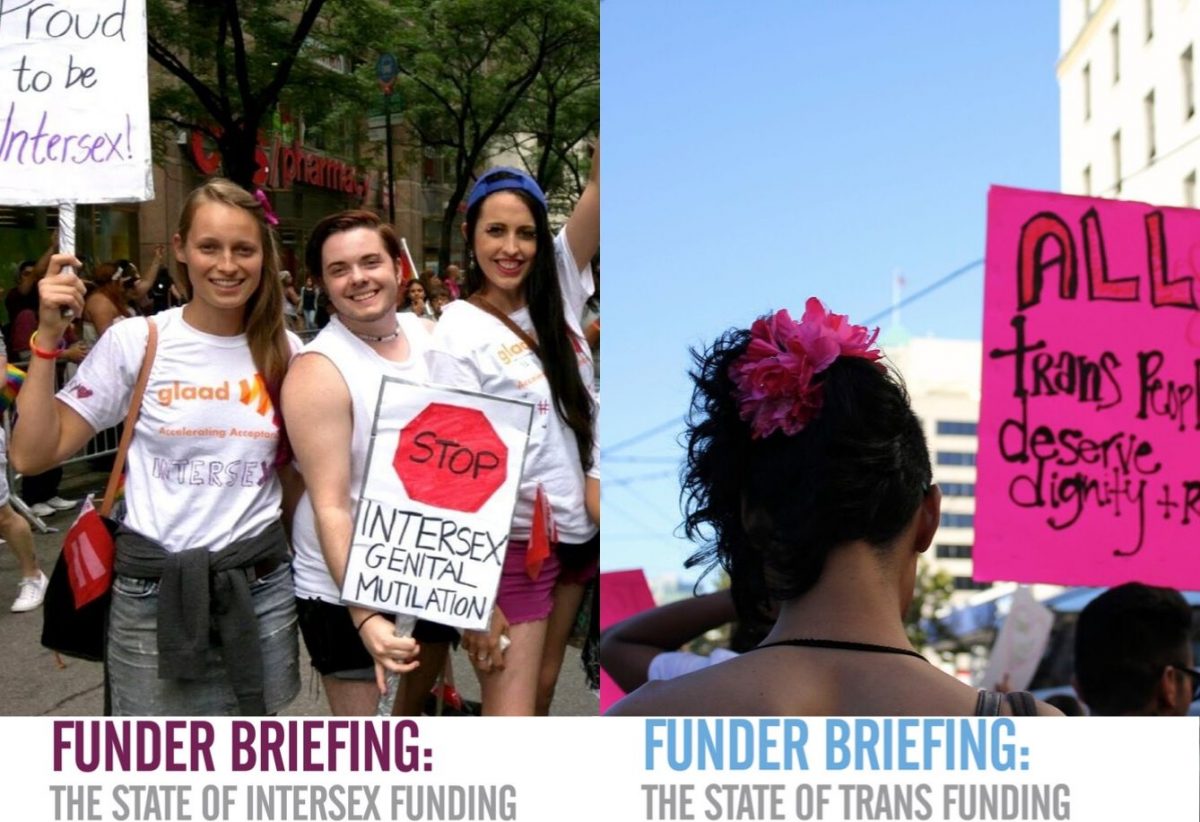 Two New Reports on the States of Intersex and Trans Funding
