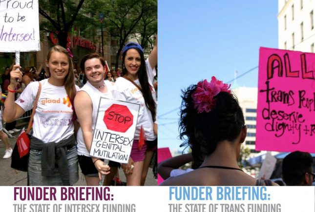 Two New Reports on the States of Intersex and Trans Funding