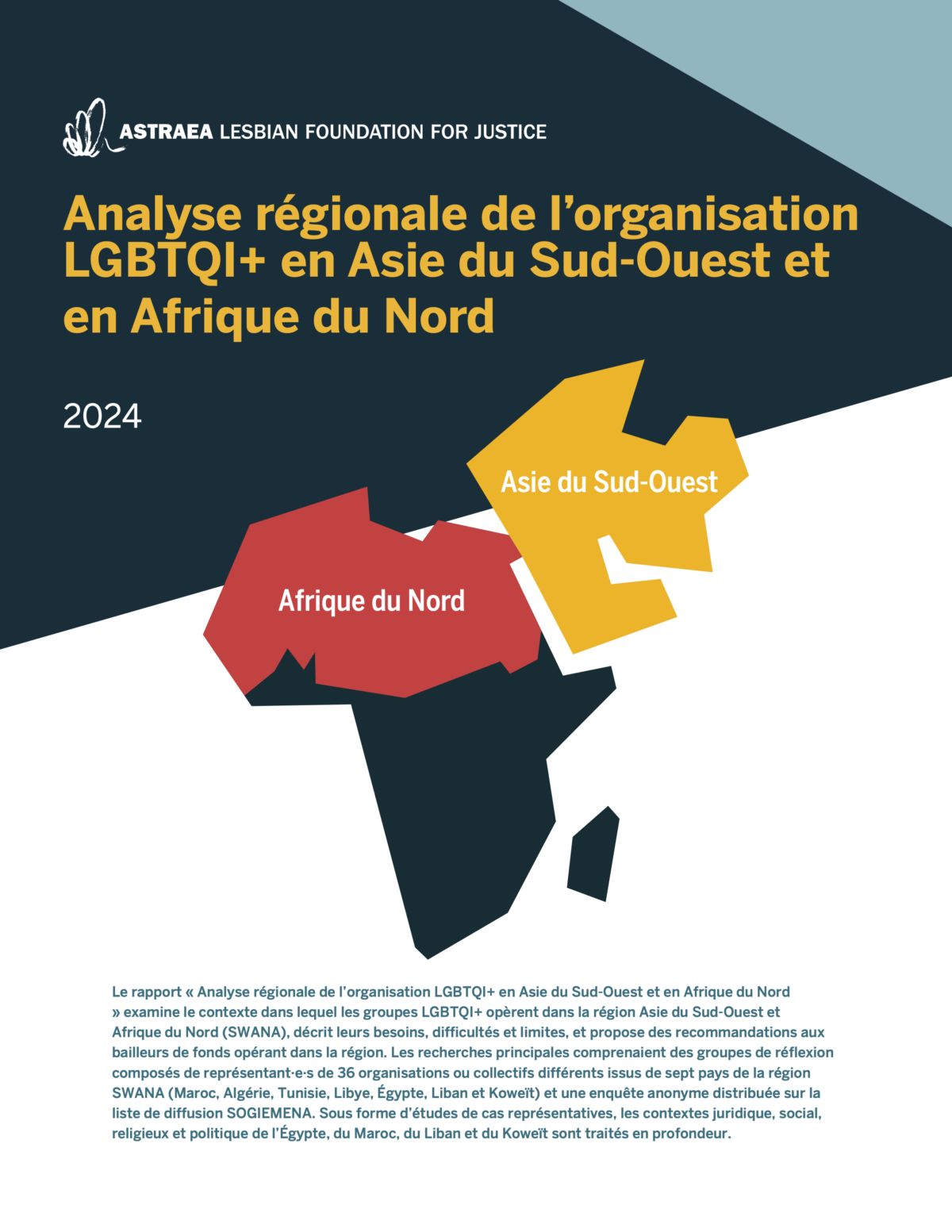 Points saillants : Analyse régionale de l’organisation LGBTQI+ en Asie du Sud-Ouest et en Afrique du Nord